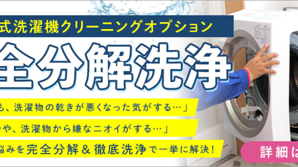 【おすすめ】ドラム式洗濯機完全分解洗浄